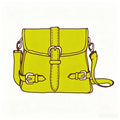 one bag and a wallet:$169